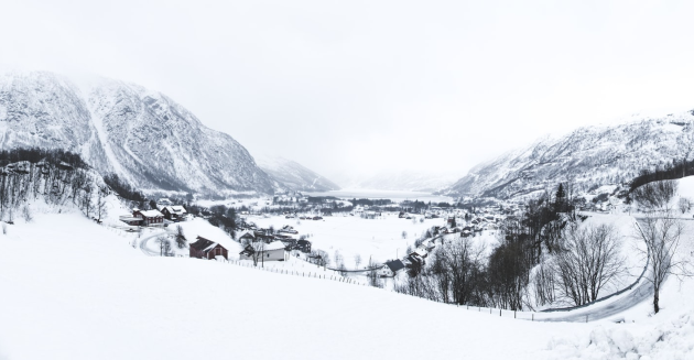 Samegrelo, village Torsa, community organization "Toliskuri"